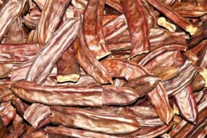 Algarroba » Qué es, características, propiedades, beneficios, usos ¿Engorda?