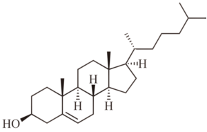 Lípidos » Qué son, características, propiedades, tipos, ejemplos, beneficios