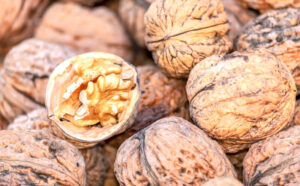 Magnesio » Qué es, características, para qué sirve, propiedades, tipos